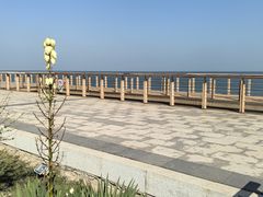 -东疆建设开发纪念公园