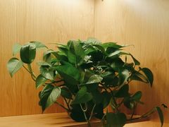-和记小菜(名品店)