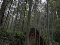 -波尔登森林公园