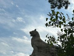 -帽儿山国家森林公园