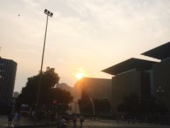 -树夏(建设路店)