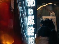 -猫的魔法密林(衣裳街店)