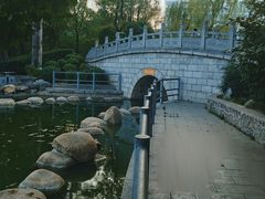 -莲湖公园