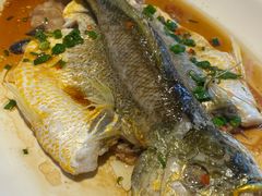 -滋粥楼·顺德菜海鲜茶点(方舟店)