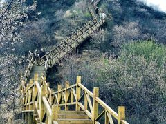 -大岭沟猕猴桃谷风景区