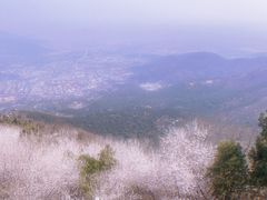 -香山公园