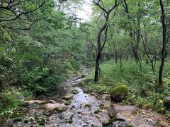 -玉渡山自然风景区