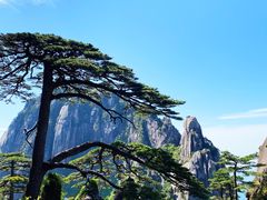 -黄山风景区