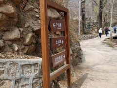 -大岭沟猕猴桃谷风景区