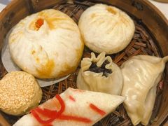 -富春茶社(国庆路店)
