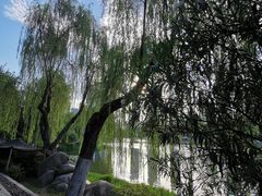 -后襄河公园