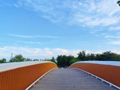 -马家湾湿地公园