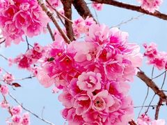 -7分甜(圆融广场店)