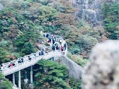 -黄山风景区
