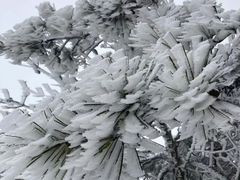 -天姥山