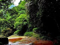-赤水丹霞旅游区·佛光岩