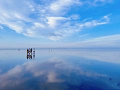 -南汇嘴观海公园