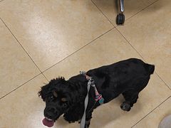 -沐沐家宠物(成寿寺店)