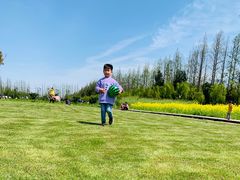 -前小桔亲子创意农场·草莓采摘·露营烧烤