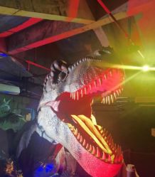 -恐龙探索乐园(磁器口店)