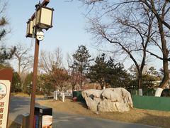 -西海子公园