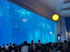 -南昌融创海世界