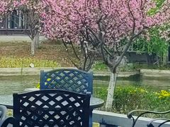 -无锡梁鸿湿地丽笙度假酒店·流觞西餐厅