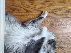 -红鼎豆捞·非遗鲍皇汤火锅(宝丰路店)