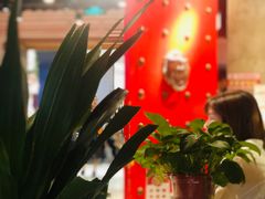 -壹盏灯(惠农店)