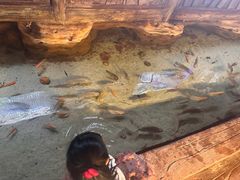 -长鹿旅游休博园