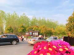 -合肥滨湖国家森林公园