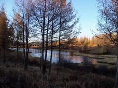 -塞罕坝国家级自然保护区