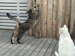 -前叁門