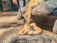 -福州罗源湾海洋世界旅游区