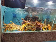 -欧记·龙城港(欣都店)