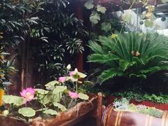 -漫渡庄绿岛花园•隐世庭园菜(滨湖店)