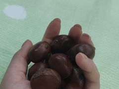 -粒上皇(上海瞿溪路店)