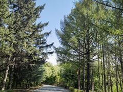 -长春市南湖公园