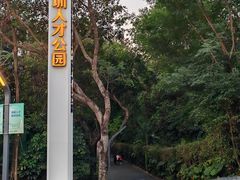 -深圳人才公园