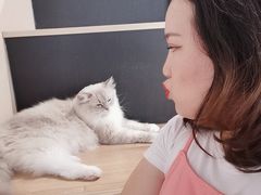 -瞄一喵猫咖(格力海岸店)