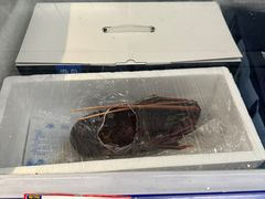 -麦德龙(嘉定店)