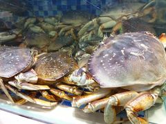 -欧记·龙城港(欣都店)