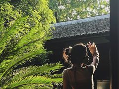 -八大山人梅湖景区