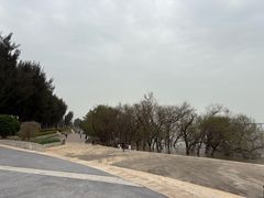 -宝安西湾红树林湿地公园