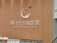 -联合动物医院(光谷诊疗中心)