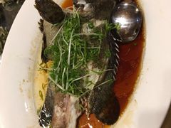 -崖口红树林海鲜餐厅