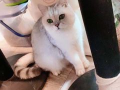 -小时光咖啡馆(北锣鼓巷店)