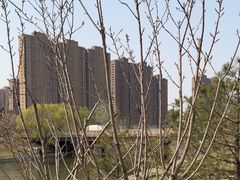 -坝河休闲公园