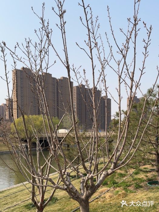 坝河休闲公园图片