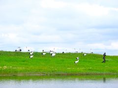 -黑龙江扎龙生态旅游区